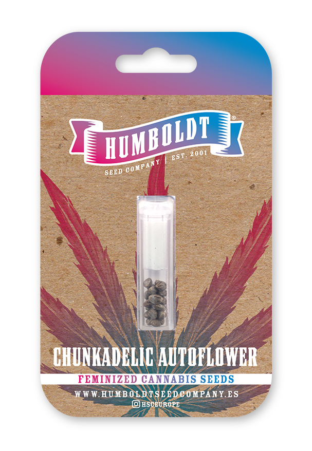 Chunkadelic Auto