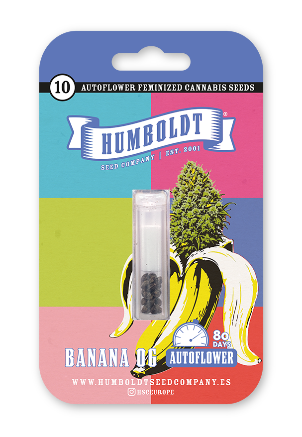 Banana OG Auto