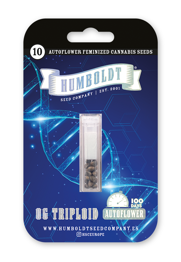 OG Triploid Auto